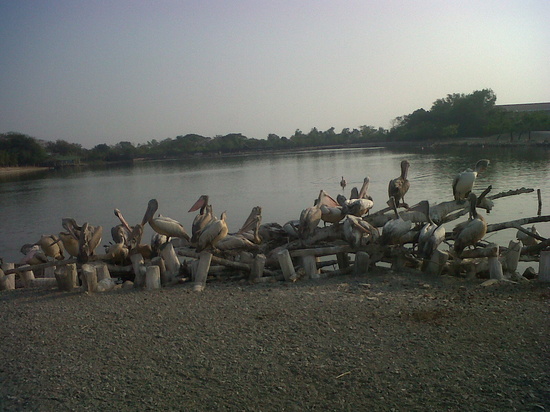 HappyThai_safari_world_6.JPG