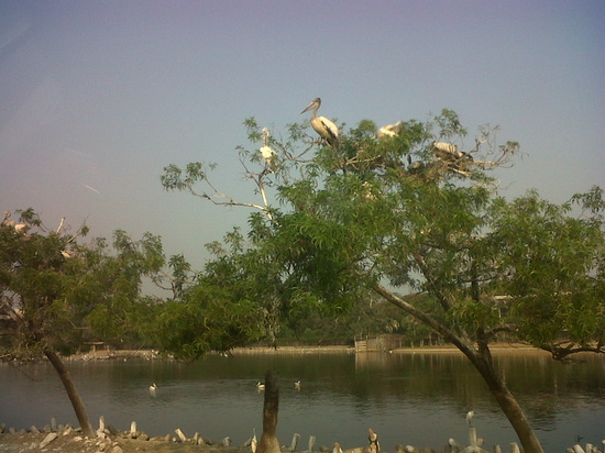 HappyThai_safari_world_5.JPG