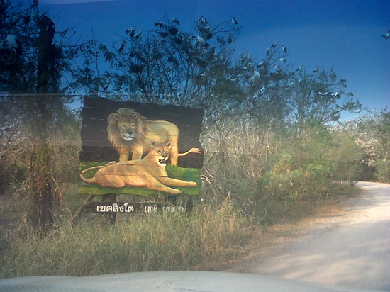 HappyThai_safari_world_7.JPG