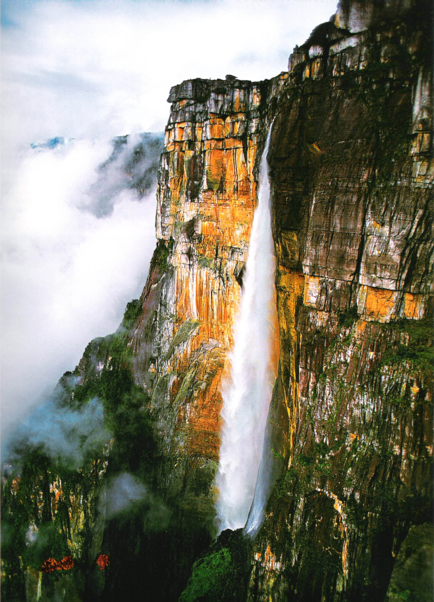 엔젤 폭포 앙헬폭포 Angel Falls 베네수엘라 낙차 979m 세계 최고 높이 네이버 블로그