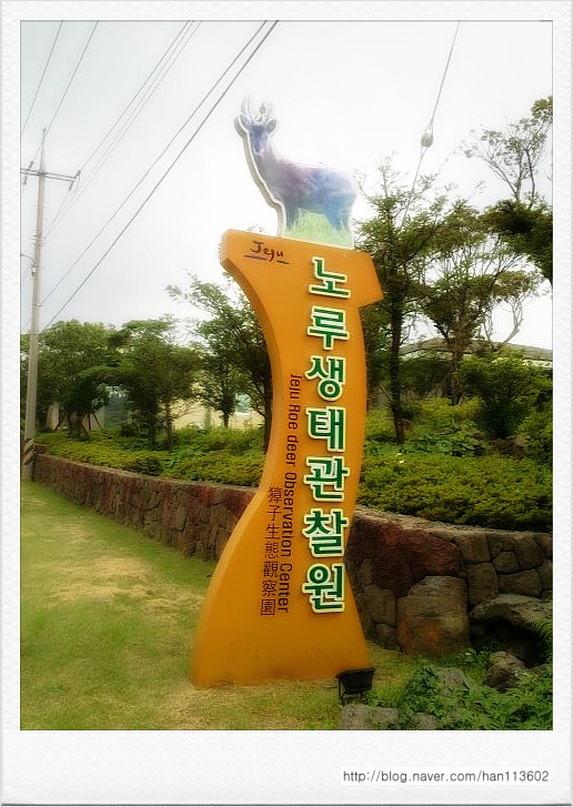 떡시루 이미지