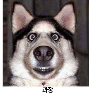 %C8%B8%BB%E7_%C1%F7%B1%DE%BA%B0_%C7%A5%C