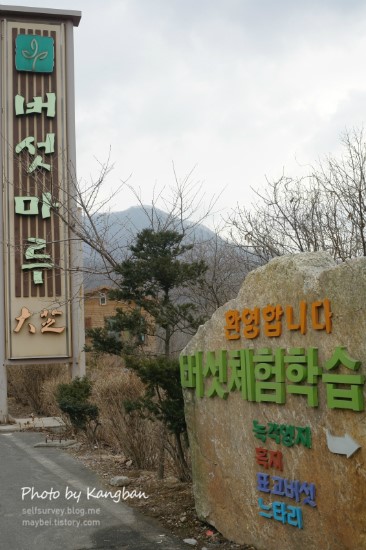 열두개울버섯마을 이미지