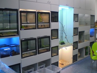 P1010028.JPG