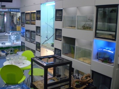 P1010027.JPG