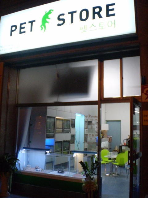 P1010005.JPG