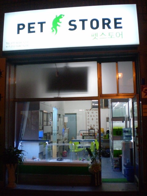 P1010004.JPG