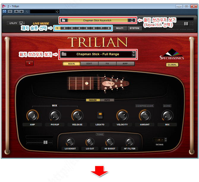 trilian bass price