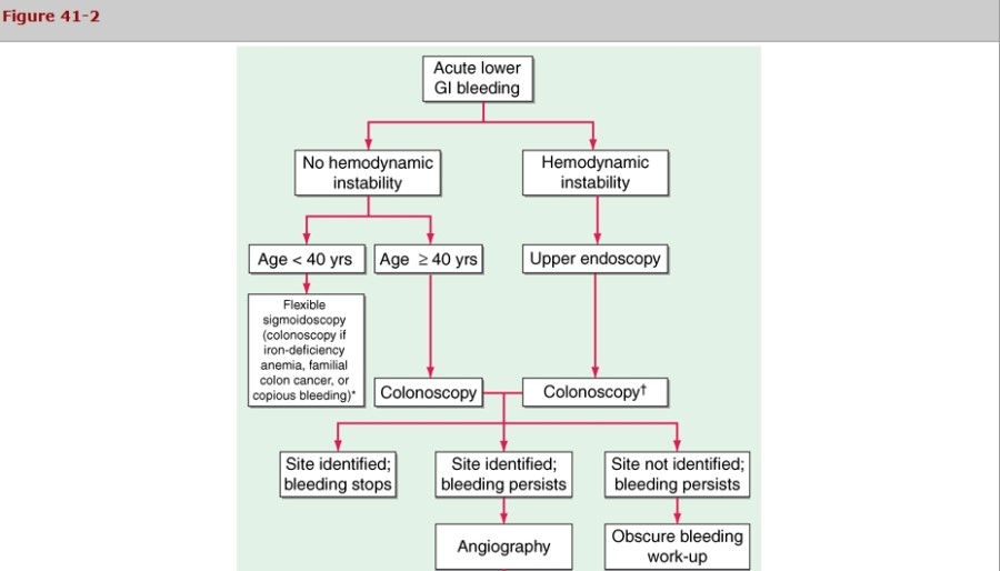 Gi bleeding management algorithm harrison cecil 