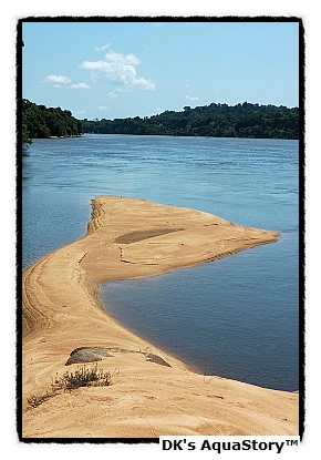 River-Courantyne-River-Suriname-1.jpg