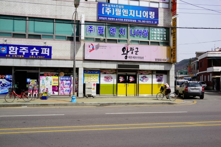 왕장군 이미지