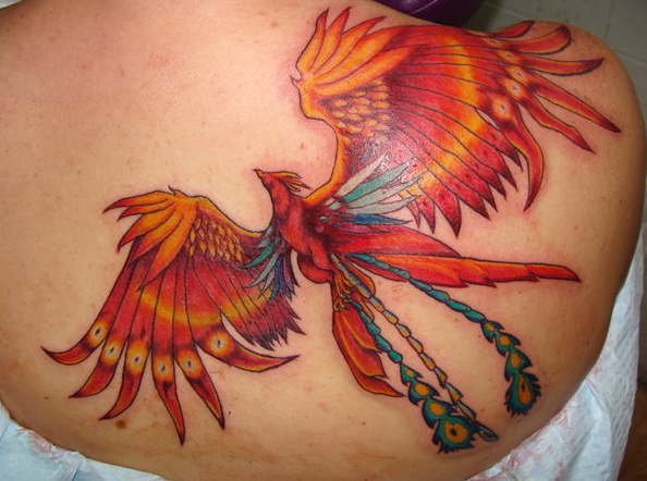 봉황문신 불사조타투 phoenix tattoo fire bird tattoo 부산타투포커스 네이버 블로그