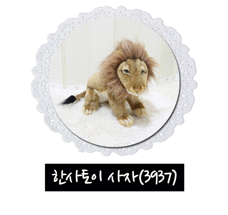 My Image 40