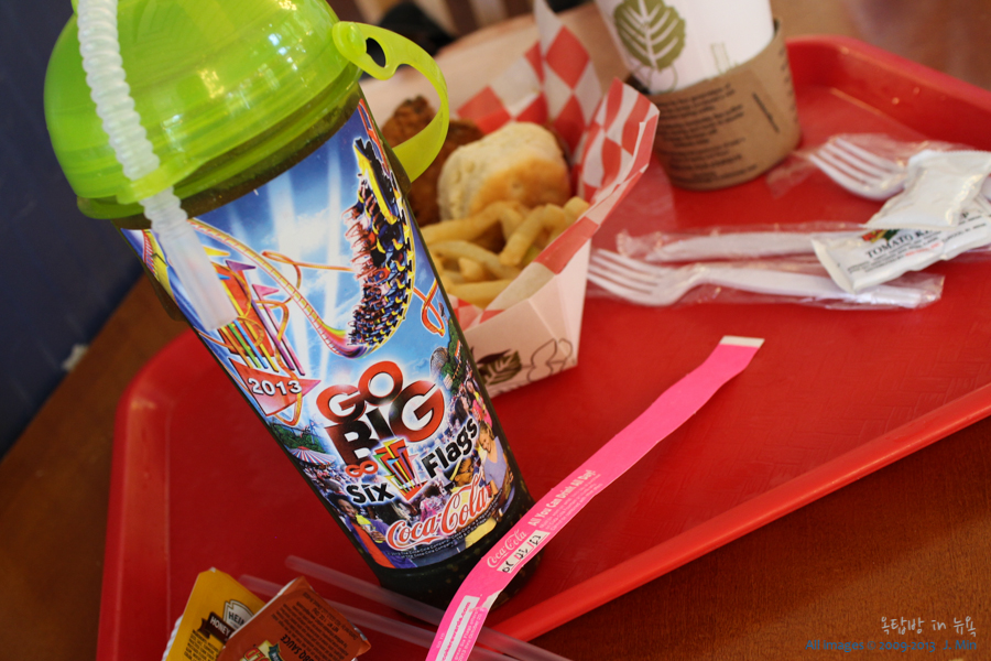 [뉴욕여행] 세계에서 제일 높은 롤러코스터 타러, 뉴저지 놀이공원 식스플래그(Six Flags)로! 네이버 블로그