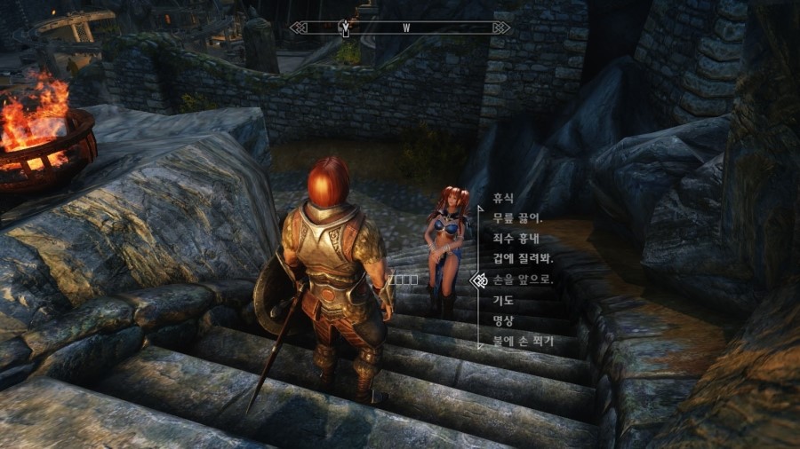 skyrim amazing follower tweaks not working