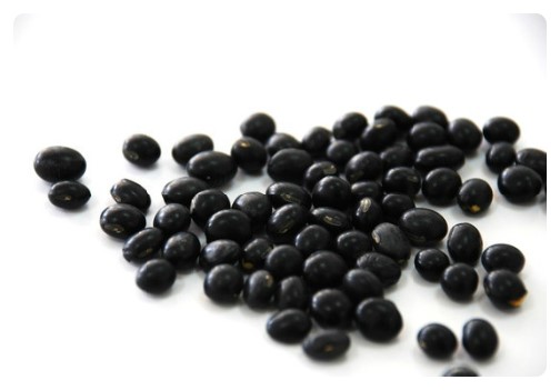 서리태효능/서리태수확시기/서리태콩-서리태에 대해 알아보자.