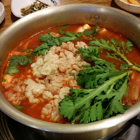 C55 | 매운탕잘하는 맛집 추천합니다 서울 강남구에서 우수업체 매운탕전문점 방문해 보세요 아야진생태찌개 역삼직영점
