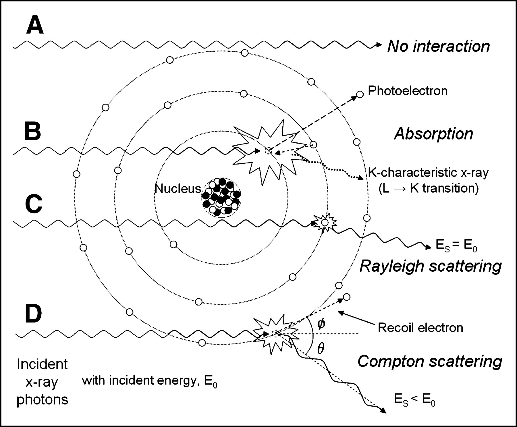 compton-scattering-rayleigt-scattering