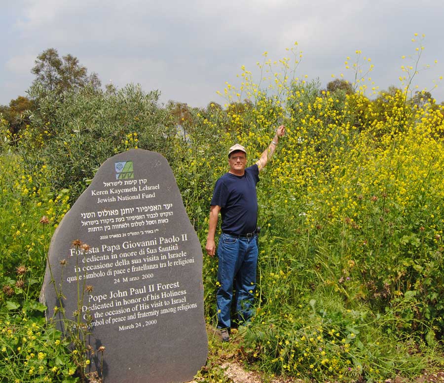 겨자씨, MUSTARD, 겨자나무, 겨자소스, 갓, 유채, 배추 네이버 블로그