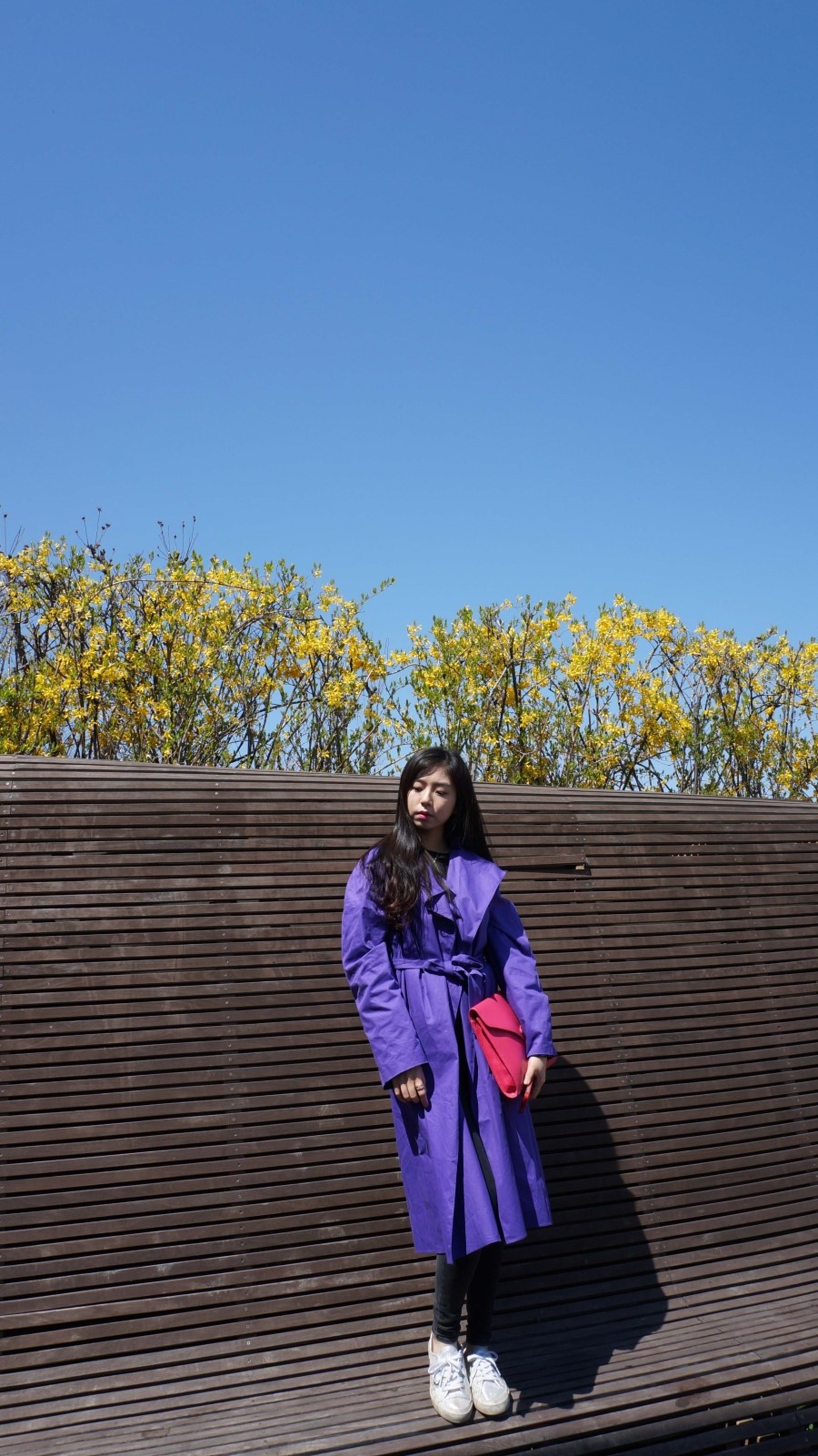 핫별의 데일리룩/데일리코디/패션블로그/꽃놀이코디/꽃놀이패션/보라색 트렌치코트코디/벚꽃축제 코디