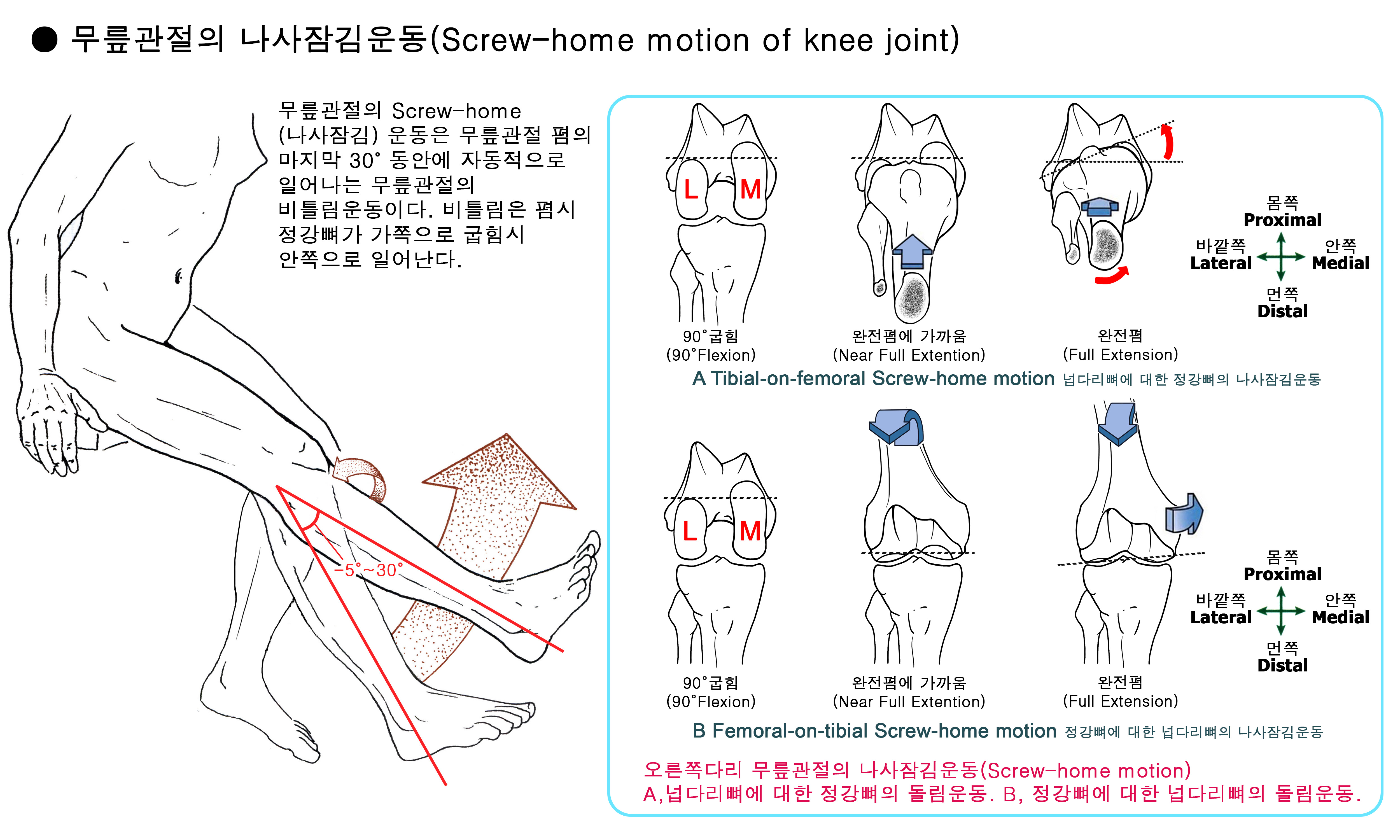 Screwhome (나사잠김) 매커니즘에 관하여.. 네이버 블로그