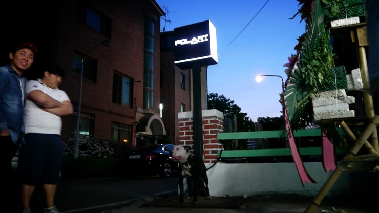 10.JPG