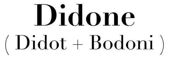 bodoni vs didot typeface