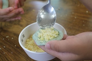 IMG_7040.JPG