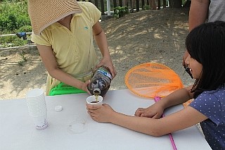 IMG_6979.JPG