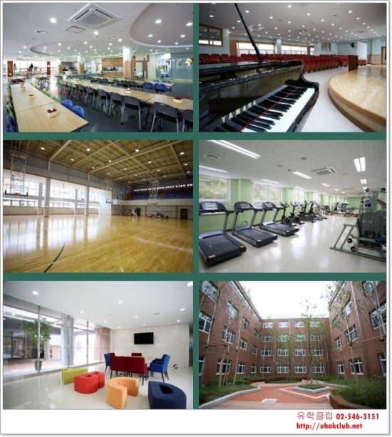 대구 국제학교, Daegu International School 소개 네이버 블로그