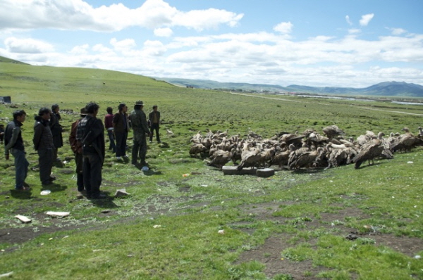 티벳의 조장(西藏 鳥葬) 네이버 블로그