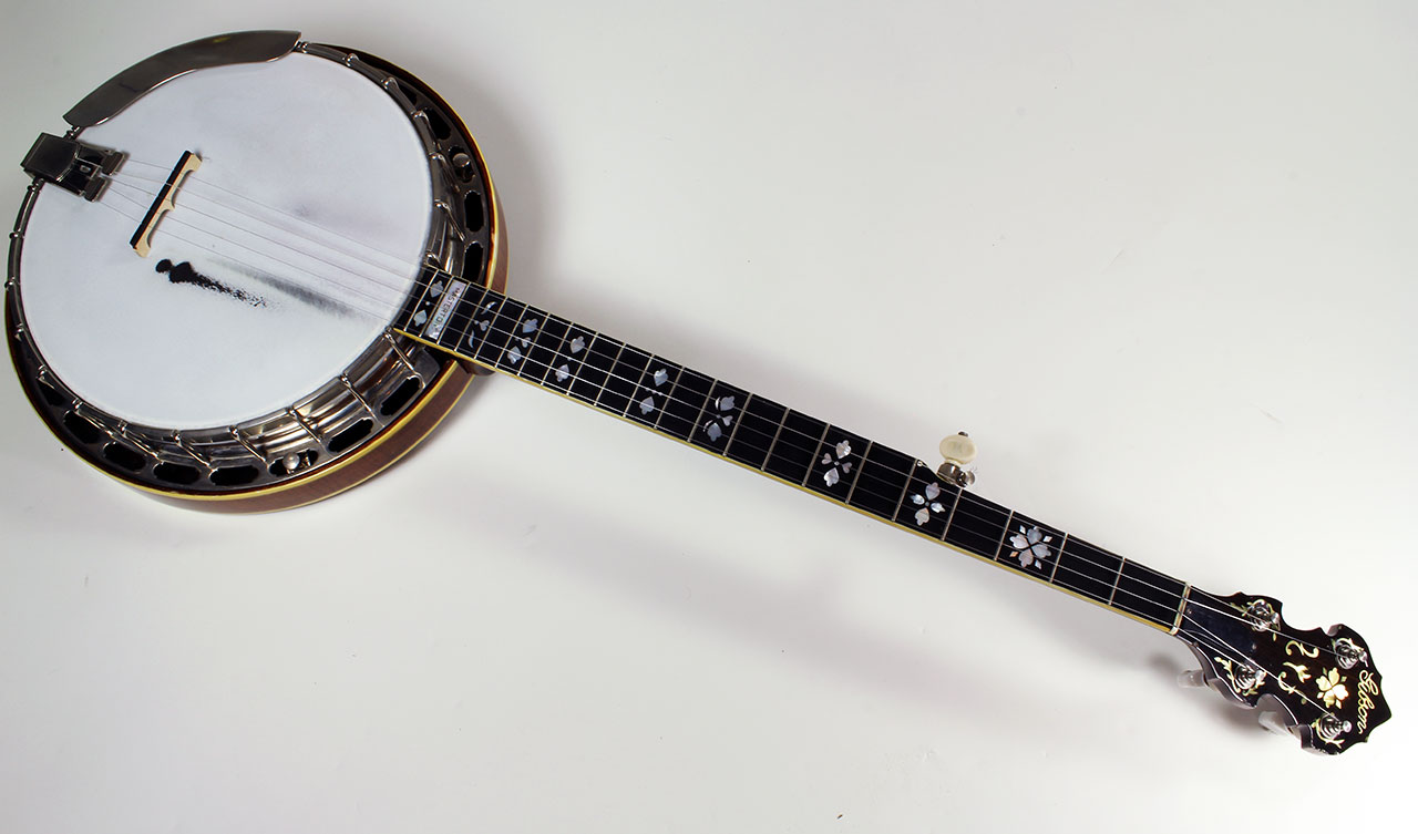 [세계악기여행]벤조(banjo) / 사진&이미지 / 연주소리 / 무료클레식음악듣기 / 미국, 자유의 여신상(United ...