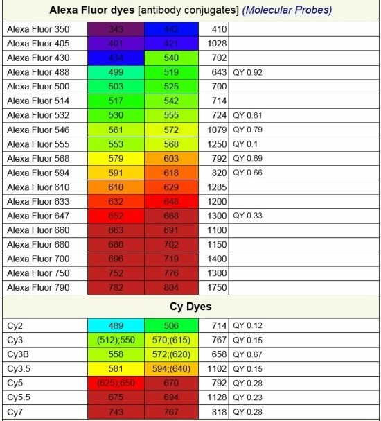 Table of Fluorochromes 네이버 블로그