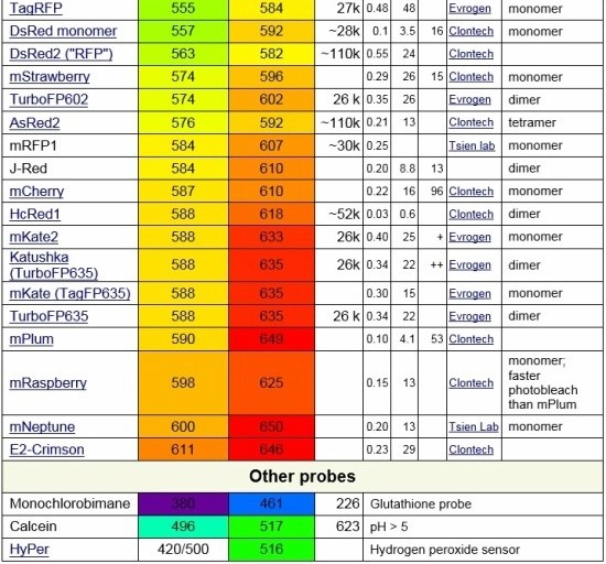 Table of Fluorochromes 네이버 블로그