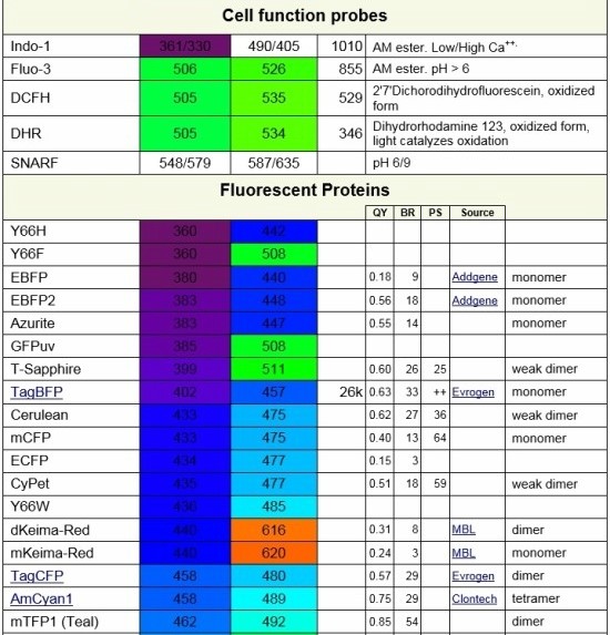 Table of Fluorochromes 네이버 블로그