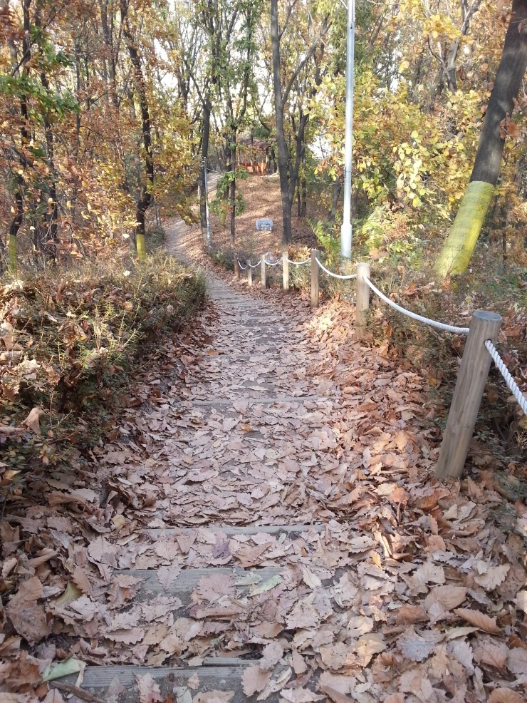 몽마르뜨공원