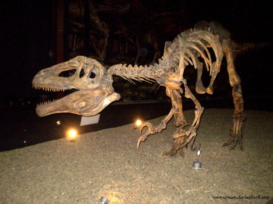 메가랍토르(Megaraptor) 네이버 블로그