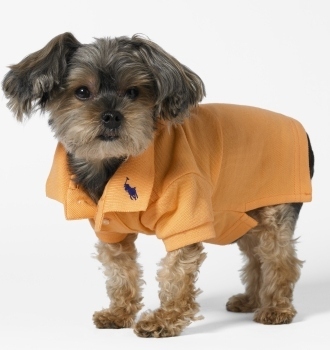 SmartDesigner™ -pet fashion 애완패션
