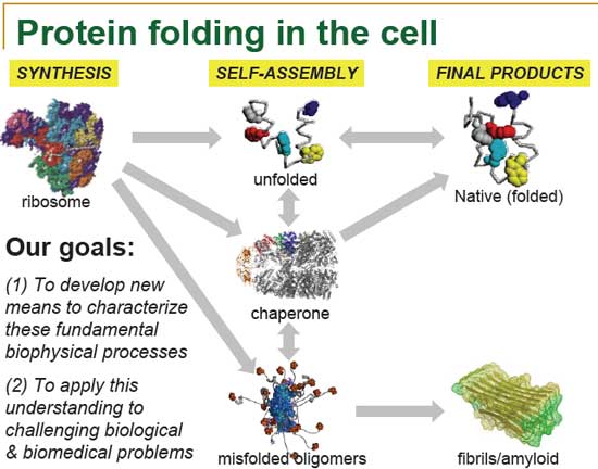 protein-folding-funnel