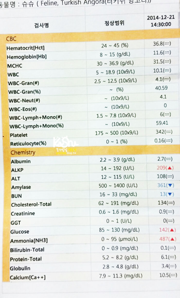 집사 기본지식 고양이 혈액검사피검사 결과 이해하기 네이버 블로그 2349