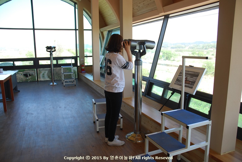 용산지구생태습지공원산책로 산책