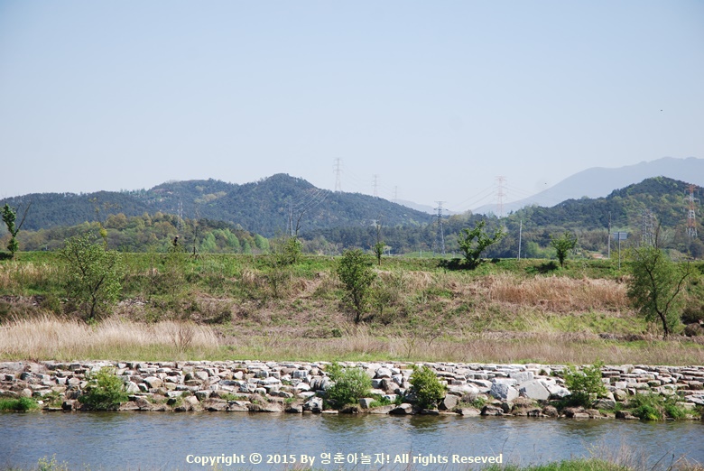 용산지구생태습지공원산책로 산책
