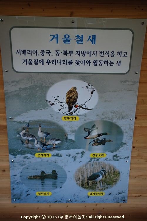용산지구생태습지공원산책로 산책