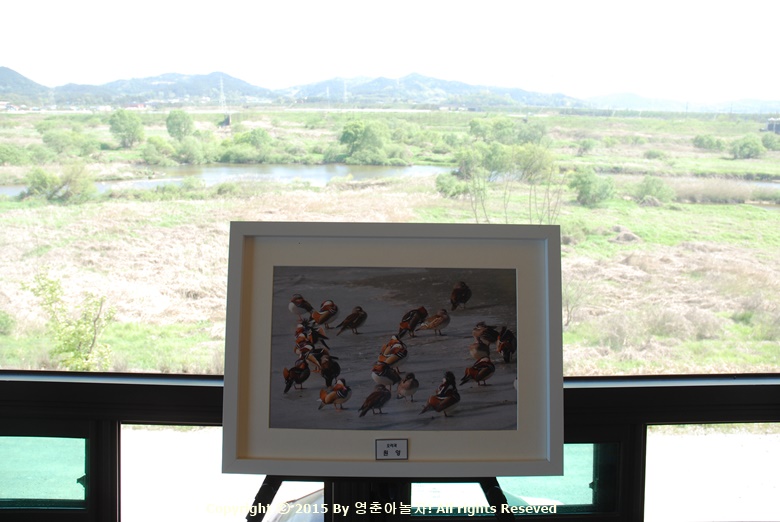 용산지구생태습지공원산책로 산책
