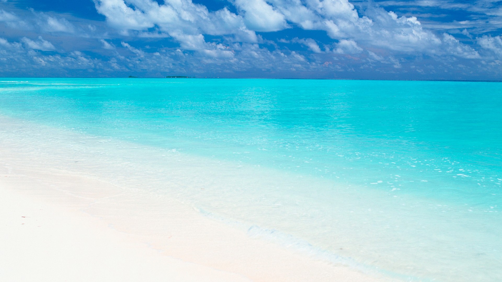 여름 컴퓨터 바탕화면 배경화면 초고화질사진(30장)(해외 바다,해변,들판,갈매기,절벽,노을,소라,투명한바다,예쁜 이미지모음