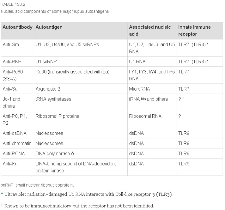 Antinuclear antibodies (ANA) 네이버 블로그