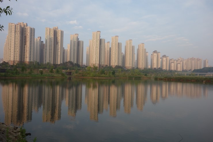 운정호수공원 반려견 산책