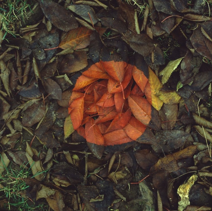 andy-goldsworthy