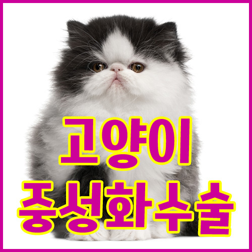 My Image 30
