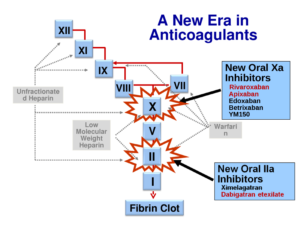 헤파린과 와파린, 그리고 새로운 경구용 항응고제(DOAC) 네이버 블로그